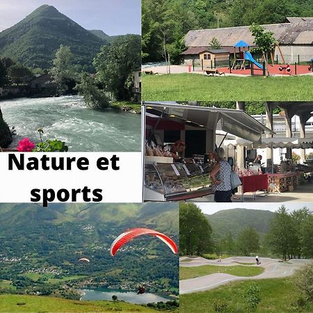 Jolie Maison De Ville En Bord De Neste 8/9 Pers Sarrancolin ภายนอก รูปภาพ